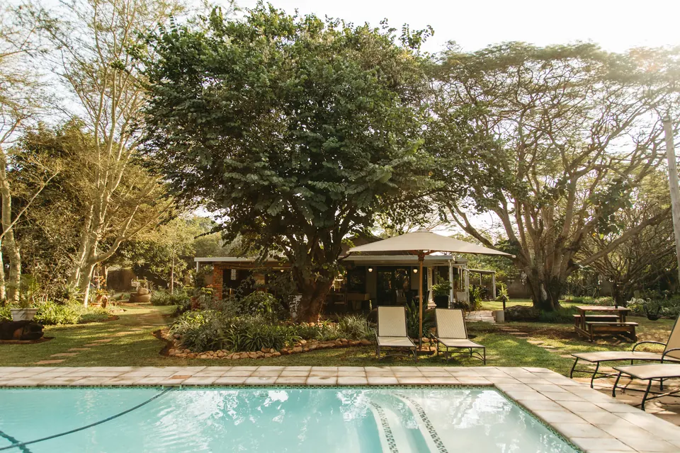 BIWEDA's swimming pool with sun loungers and a garden umbrella beneath tall indigenous trees